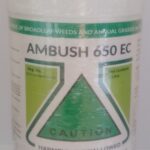 Ambush